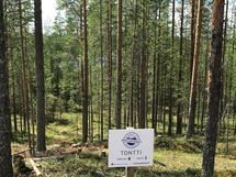 Suomussalmi, Kaunisniemi-Merkkivirta