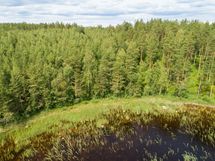 Puumala, Saimaa, Laakko