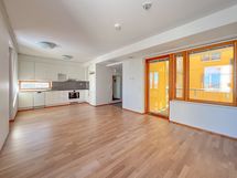 Todella tilavasta olohuoneesta on käynti parvekkeelle.