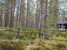 Pudasjärvi, Syöte, Pytkynharju