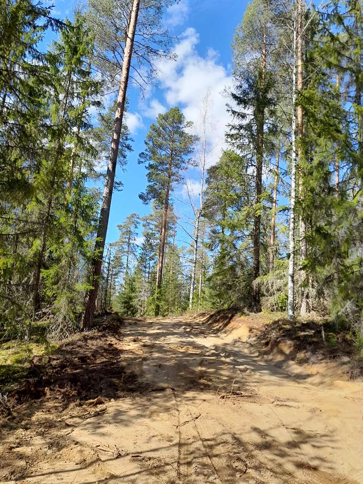 Tontti, 6 400 m², Nummi-Pusula, Lohja