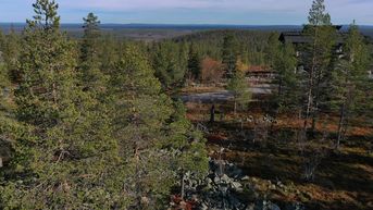 Kohdekuva