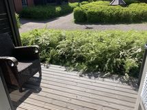 Terassi etelään