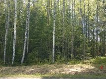 Pihtipudas, Alvajärven ranta- ja kyläosayleiskaava