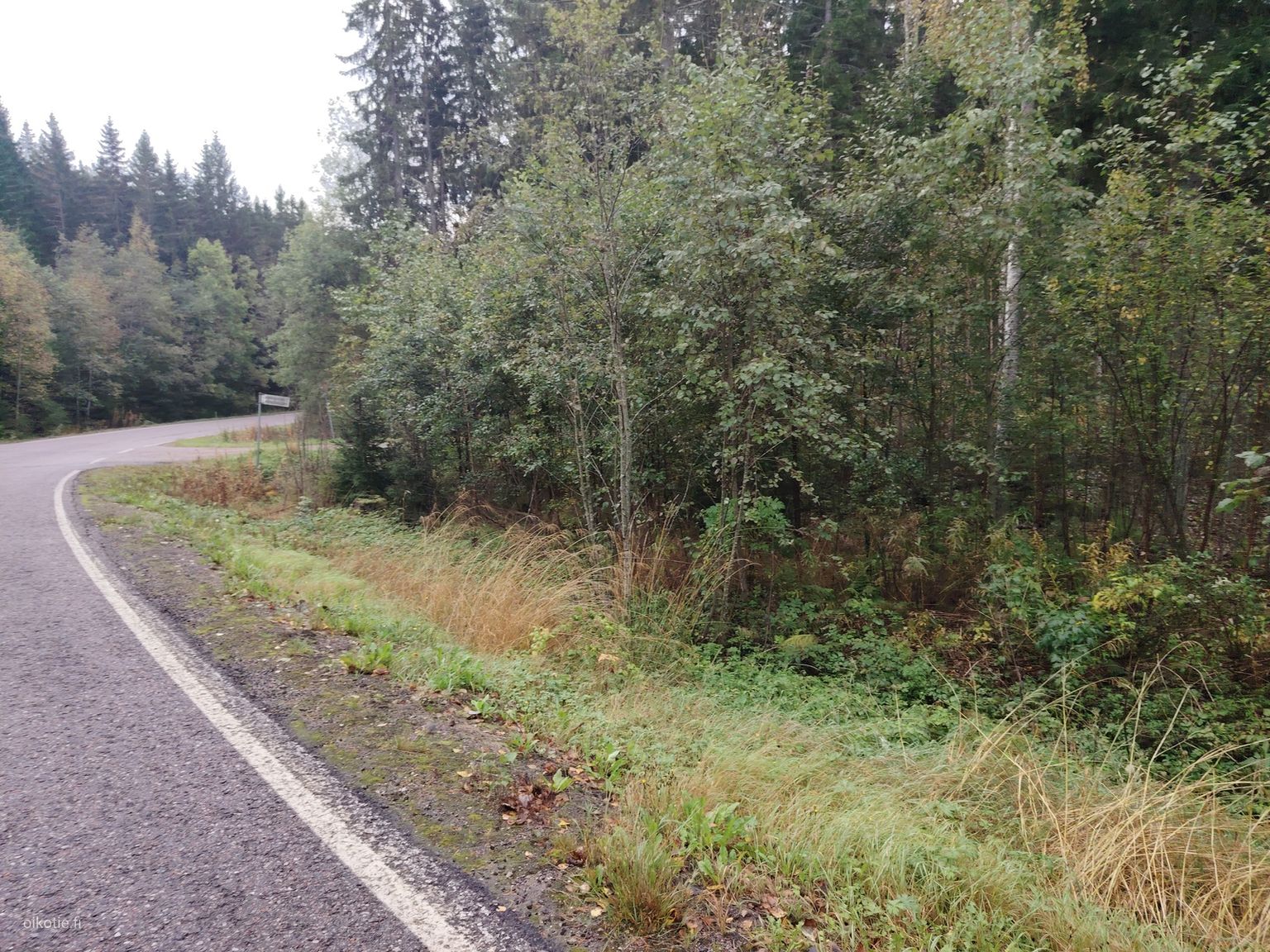 Forest plot near Sikilä, Porvoo