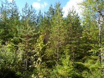 Ylöjärvi, Kuru, Heinuu ja Poikelisjärvi