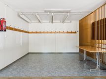 Aula ja narikka