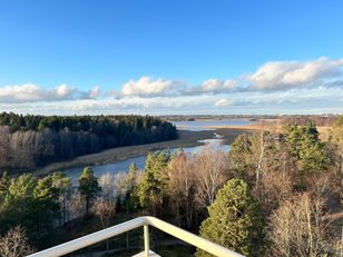 Kohdekuva