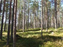 Salla, Sallatunturi, Seitakuja