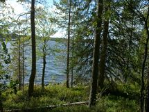 Taivalkoski, Koviojärvi