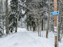 Tien toiselta puolelta pääset lenkkeilemään suosittua Olarin kuntopolkua pitkin