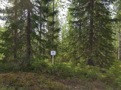 Tontti, 2 255 m², Puolanka - View 3