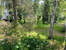 Tontti Sauramontien puolelta