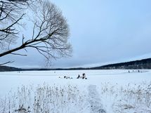 Tohlopinjärven rannalle on vain noin viiden minuutin kävelymatka!