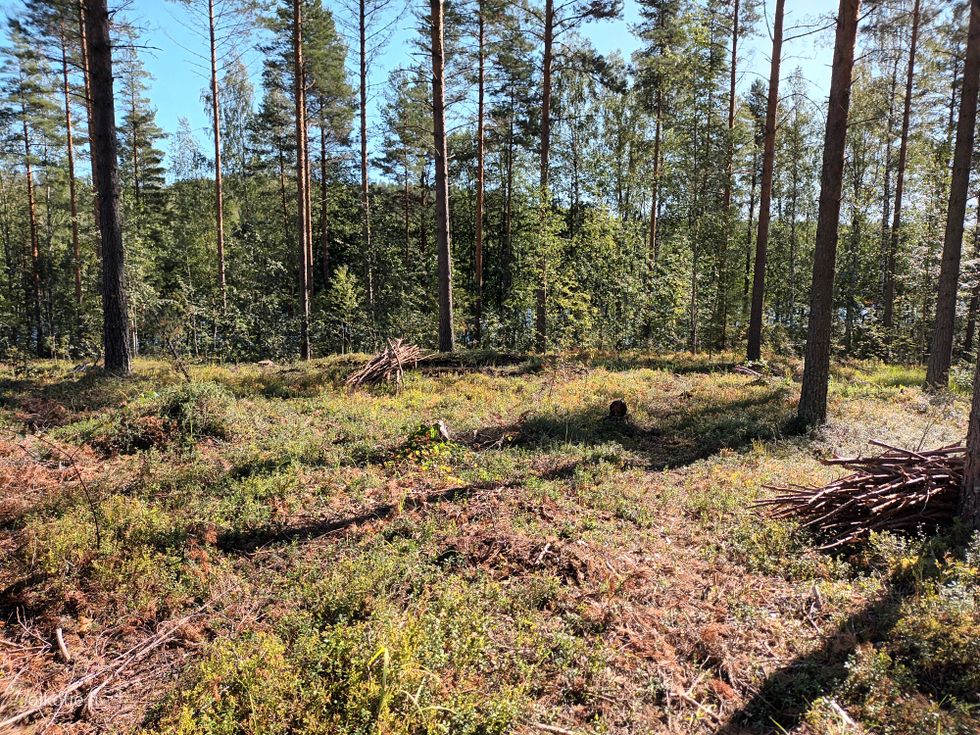 Kohdekuva