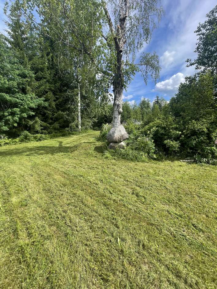 Tontti, 1 100 m², Vehniä - Näkymä 4