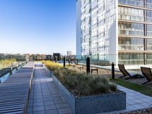 Tulilintu ja sisäpiha