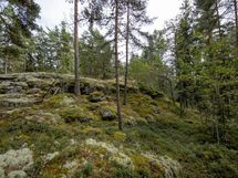 Salo, Särkisalo, Karhumäki
