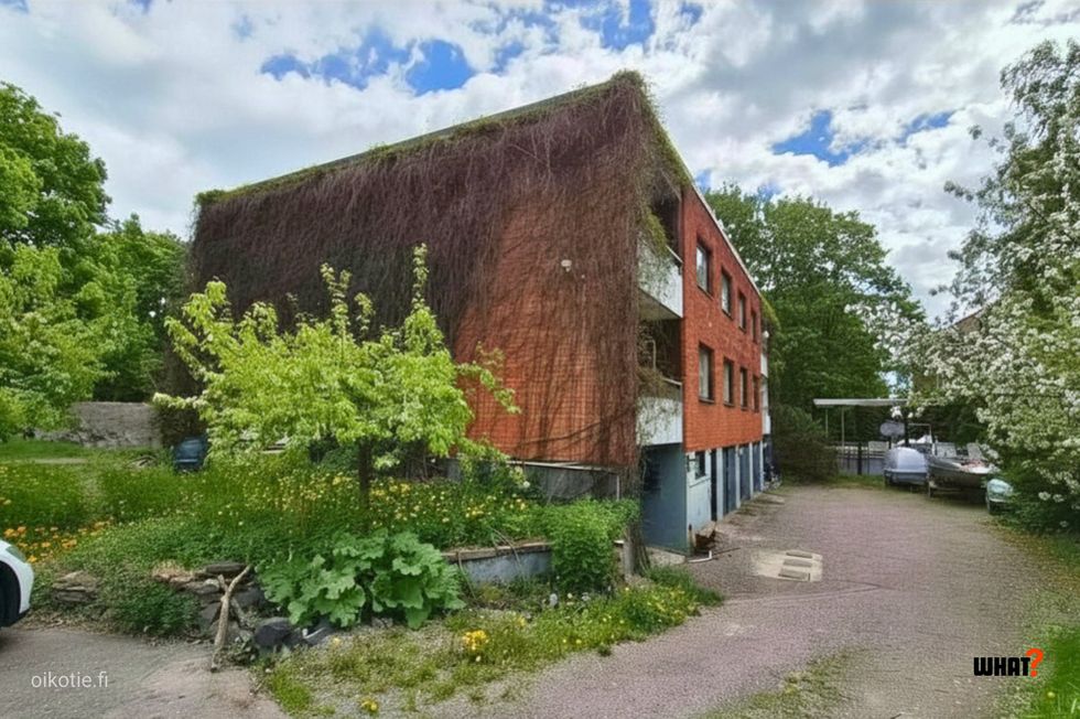 Kohdekuva