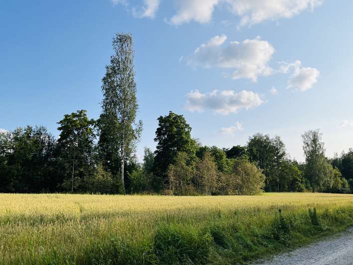 Tontti, 5 000 m², Hirviniemi - Näkymä 4