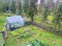 Kasvimaa