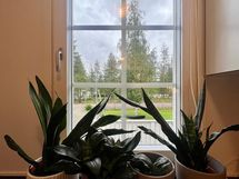 Näkymät kodinhoitohuoneesta