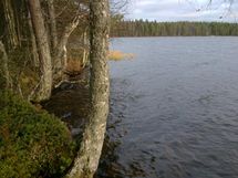 Tontin syksyn maisemaa