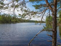 Heinävesi Pilppa Karjalansaari