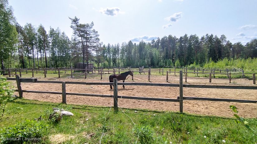 Asuntoilmoituksen kuva