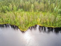 Rautavaara, Ahveninen, Puutisenlahti
