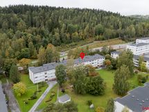 Näkymää taloyhtiön puistomaiselle etupihalle