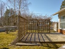 Villiviini tuo kesäisin terassille suojaa auringolta.