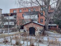 Sisäpihalla marjapensaita ja kylmäkellari