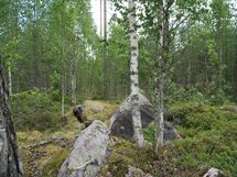 Sonkajärvi, Raudanvesi