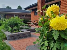 Viihtyisä piha kesällä