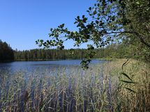Järvinäkymä
