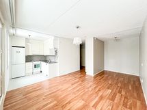 Huonetta rajaa alkovisyvennys.