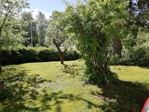 Myyjän ottama kesäkuva