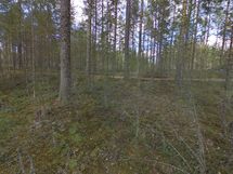 7-1 Saunalahti keskiosaa