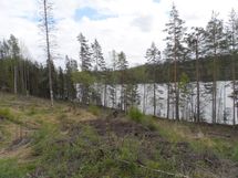 Jämsä, Iso-Liesi, Kuorevesi