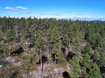 Rinnettä