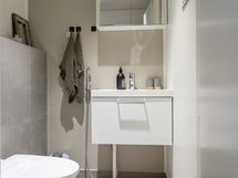 Erillinen wc