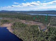 Oikeassa reunassa 7 250 - 8 000 m2:n tontit 1-4, vasemmalla myös 1,1, ha:n tontit 5-6