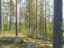 Savonlinna, Kiviapaja, Suuri Siikajärvi