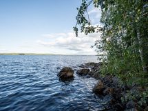 Savonlinna, Pihlajavesi