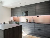 Tulilintu valmis asunto