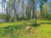 Heinävesi, Suuri Humalajärvi