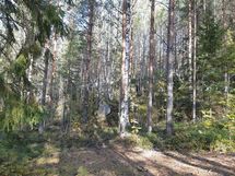 Leppävirta, Kuvansi, Herralanlahti