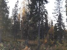 Hyrynsalmi, Ukkohalla