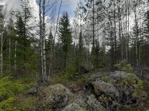 Juva, Kankaisjärvi